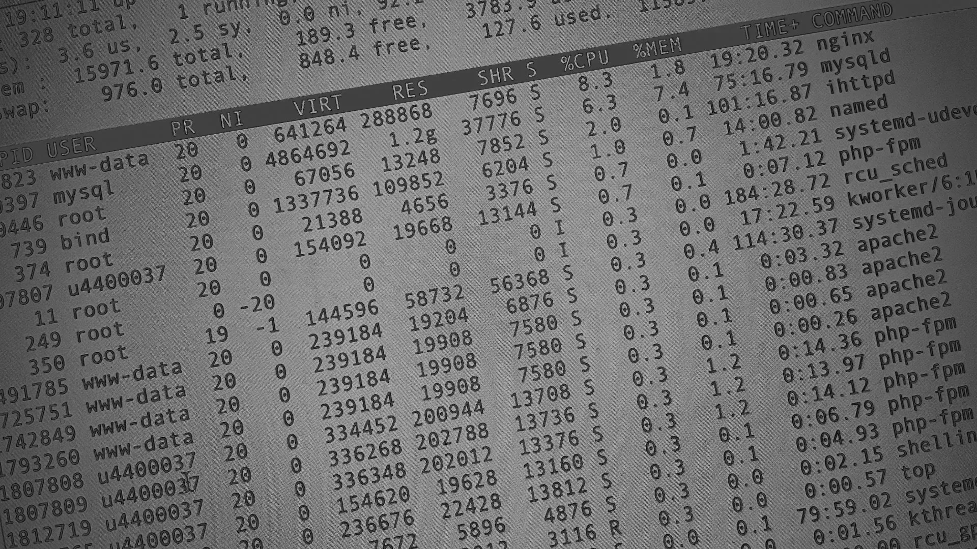 Настройка сервера в Прохладном